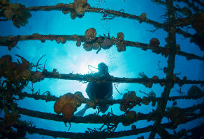PADI Underwater Archaeology Diver Distinctive Course